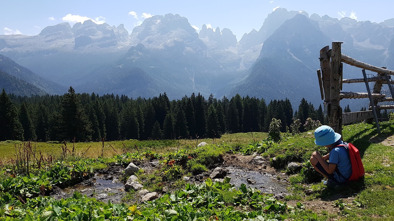mountain,horizon,stream,brenta,twisted,alm,free pictures, free photos, free images, royalty free, free illustrations, public domain
