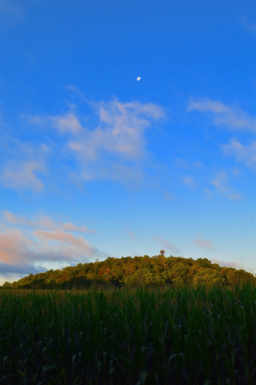 mountain sunrise green free photo