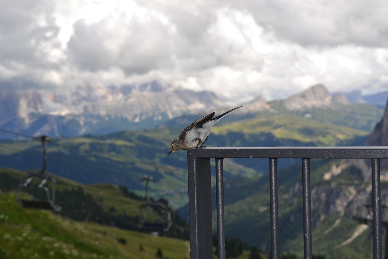 mountain clouds dolomites free photo