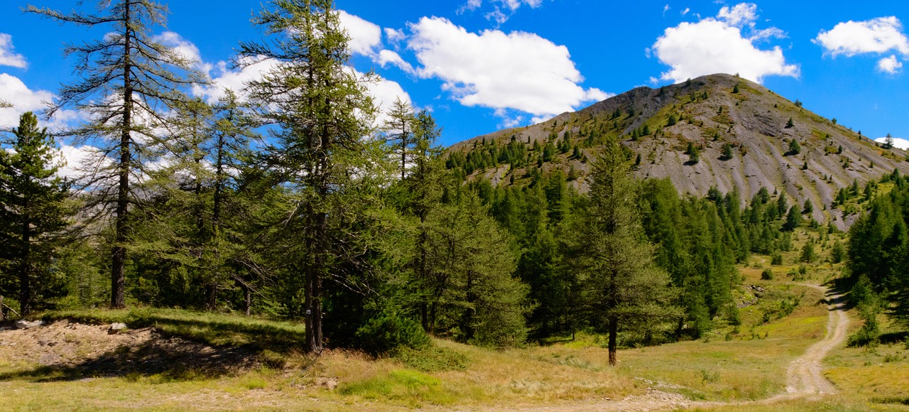 mountain hiking forest free photo