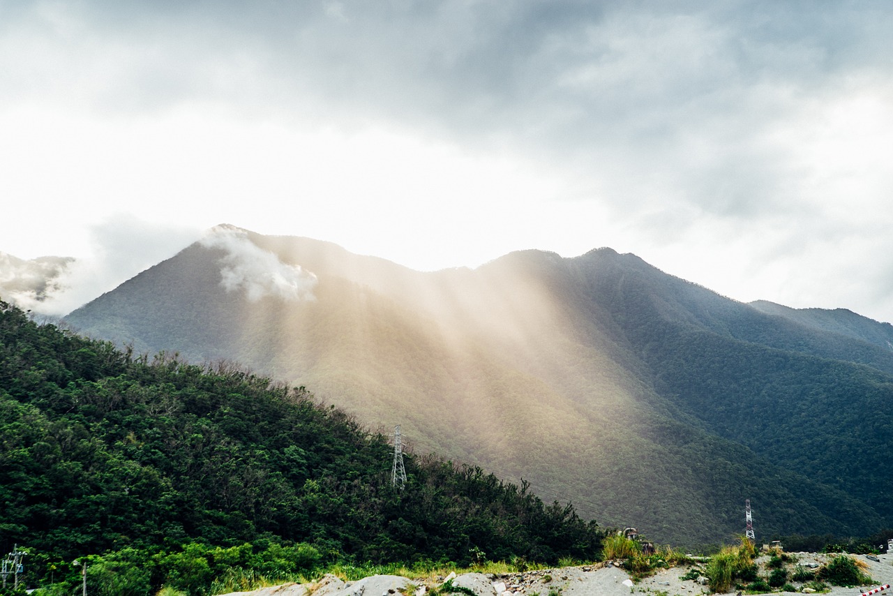 mountain sun tree free photo