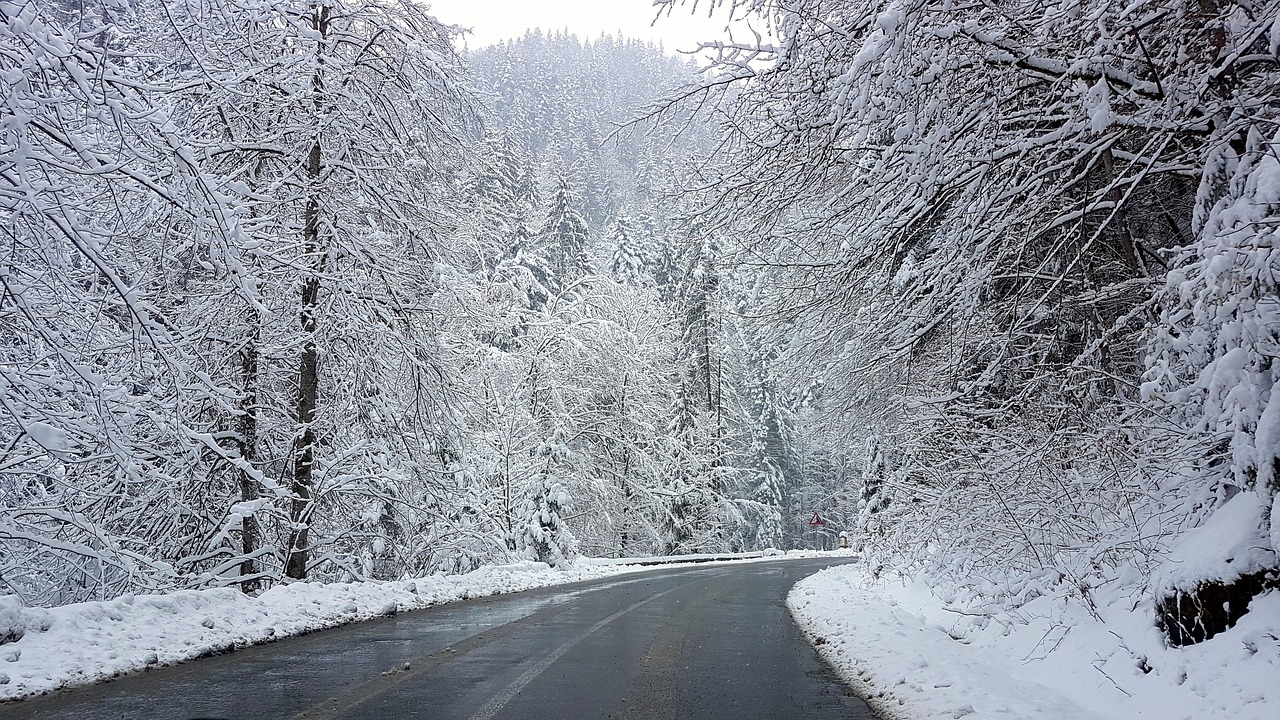 mountain road winter free photo