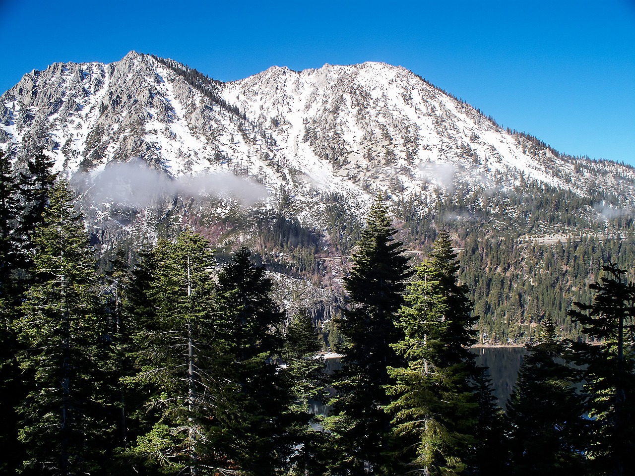 mountain trees lake free photo