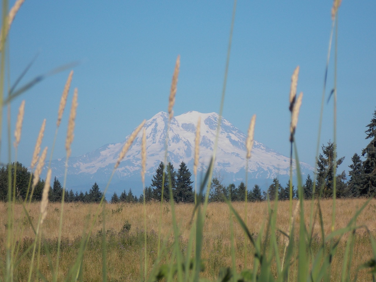 mountain field landscape free photo