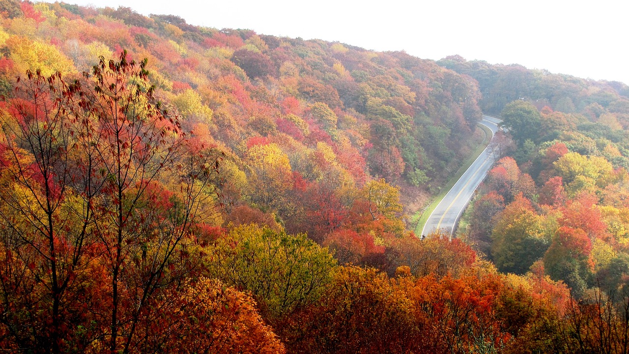 mountain fall autumn free photo