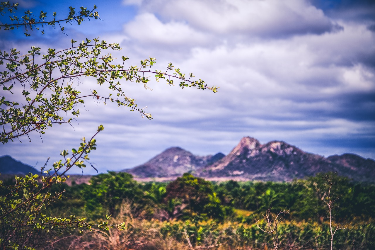 mountain nature flying free photo