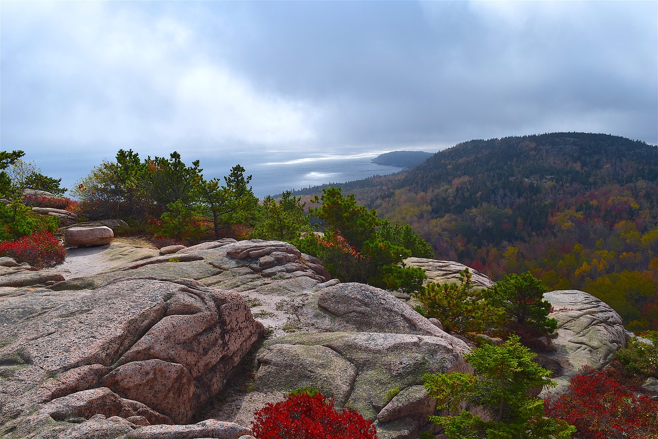 mountain trees rocks free photo