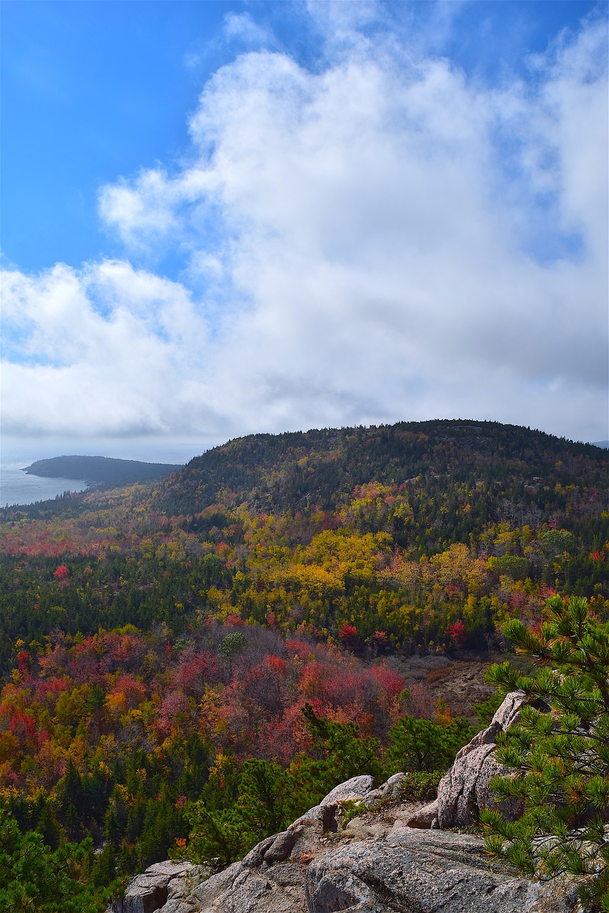 mountain trees nature free photo