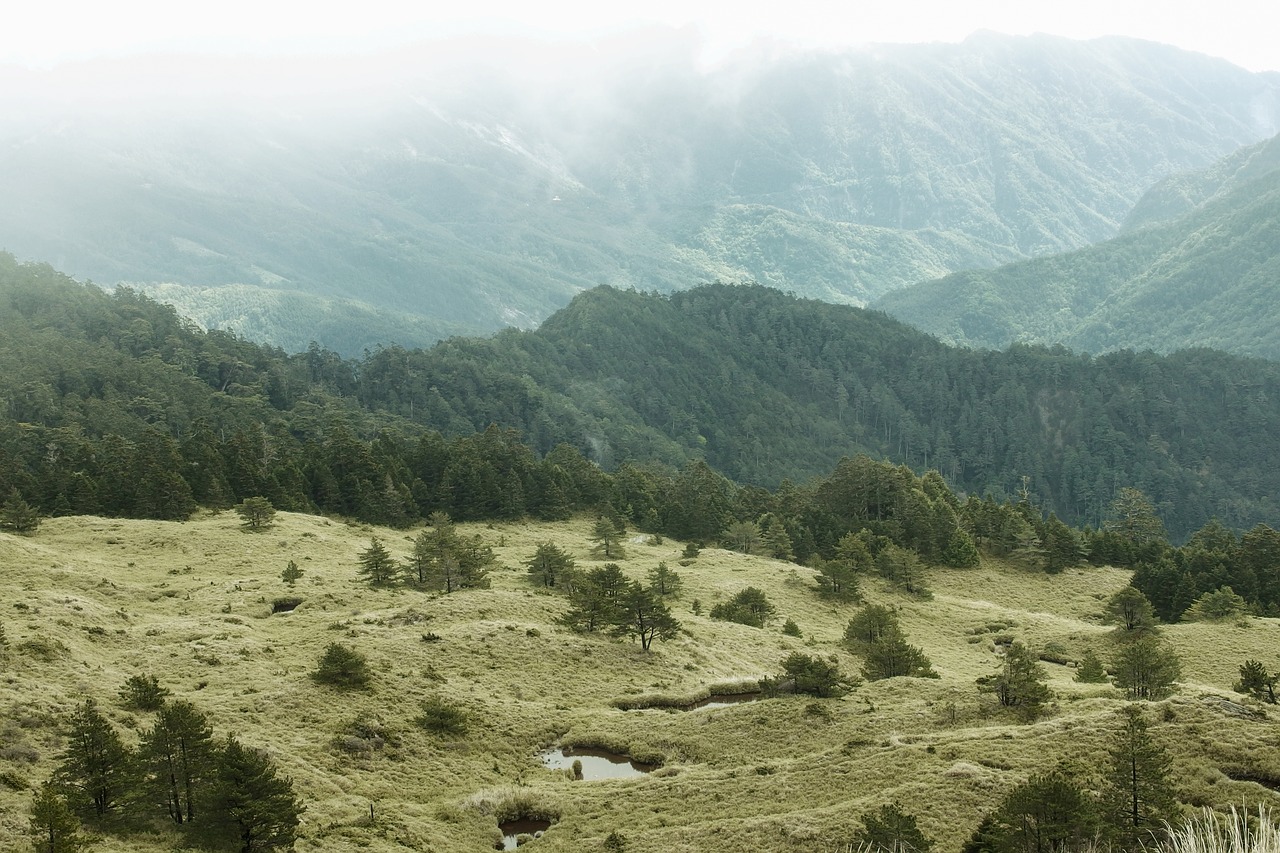 mountain open country forest free photo