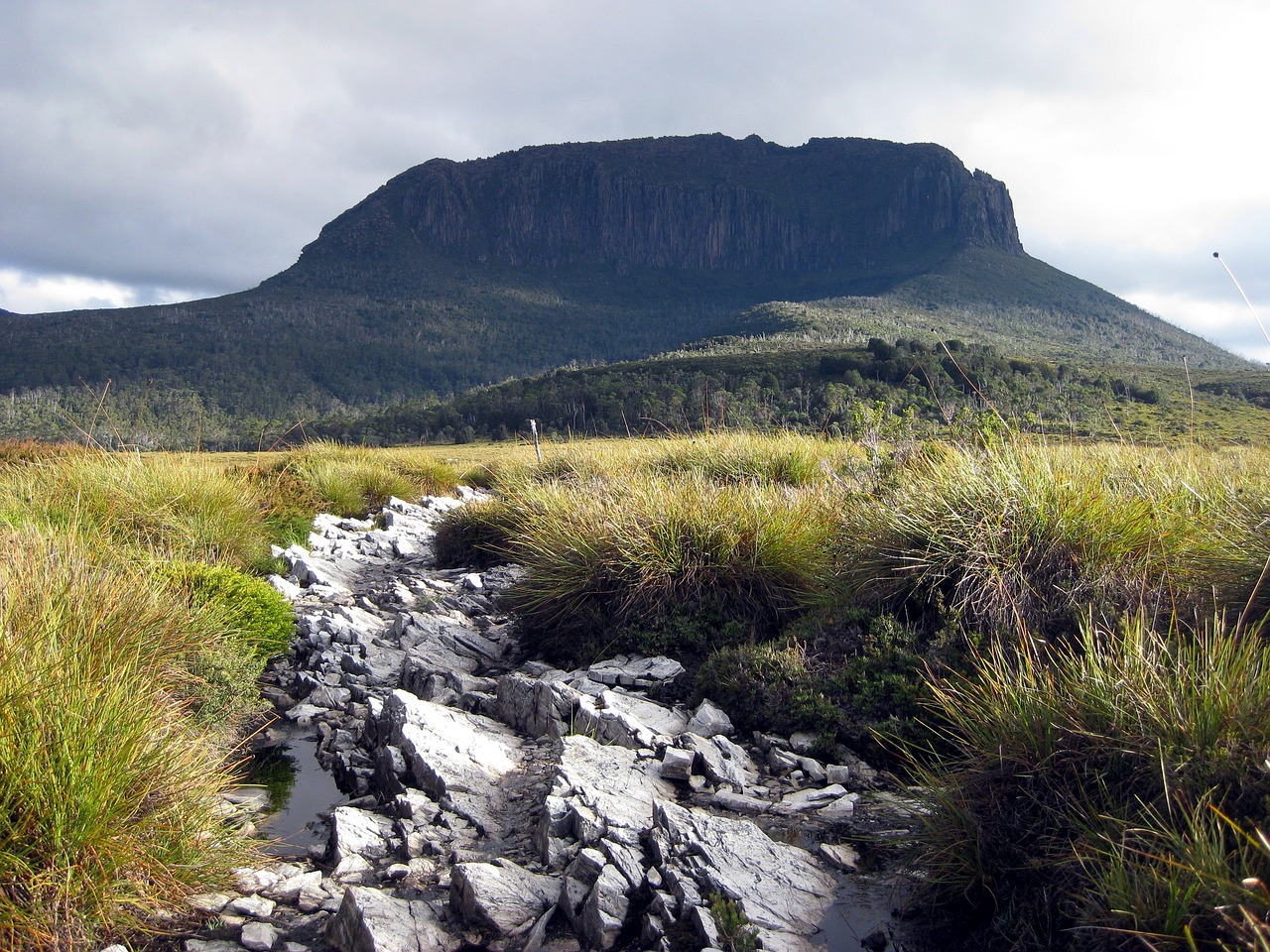 mountain path stones free photo