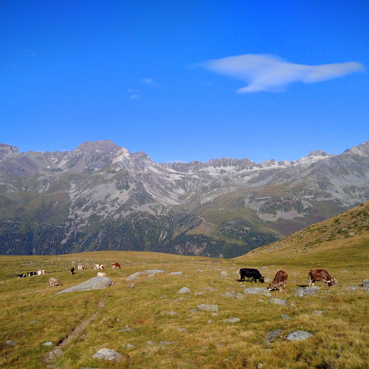 mountain landscape nature free photo