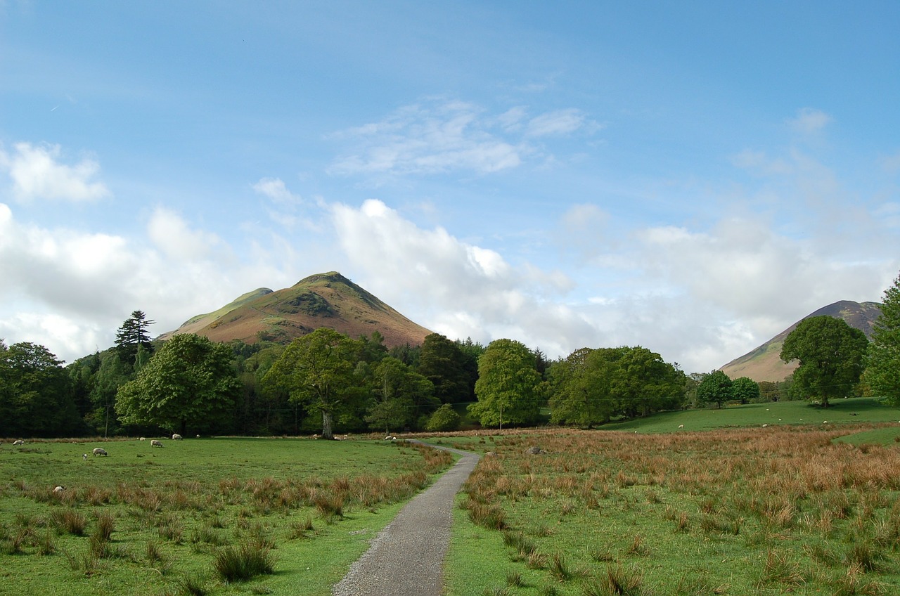 mountain green scenic free photo