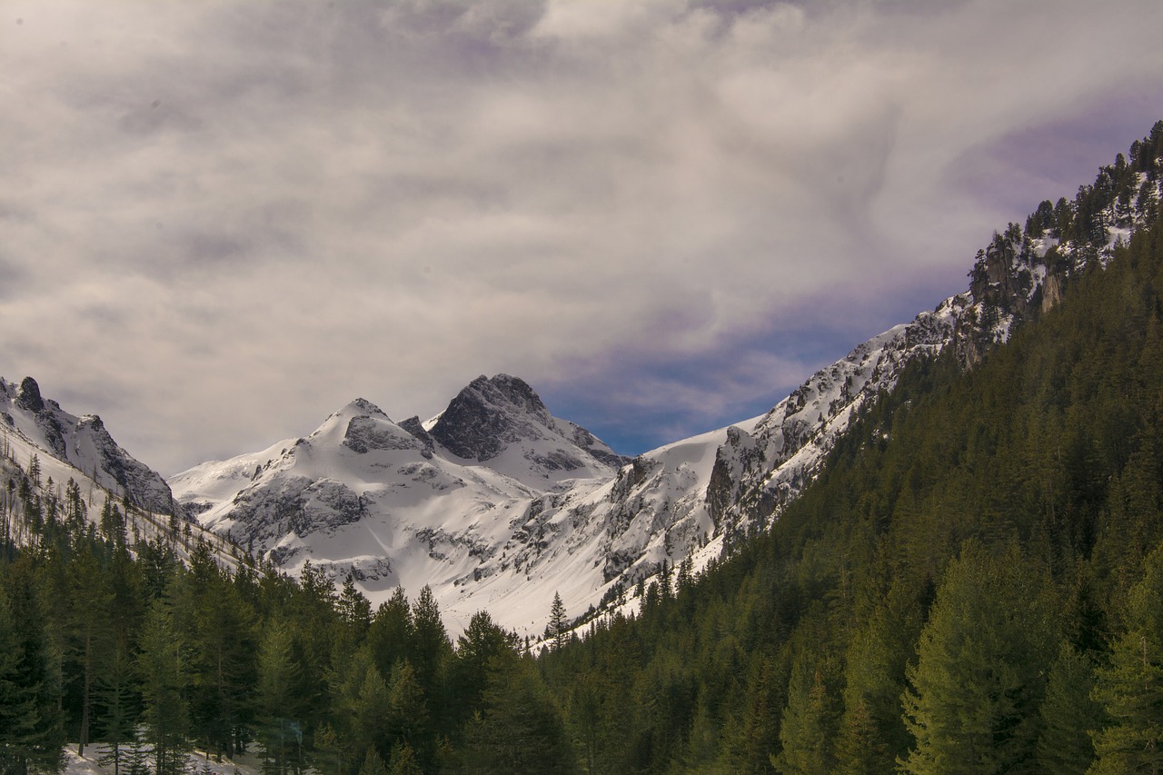 mountain snow panoramic free photo