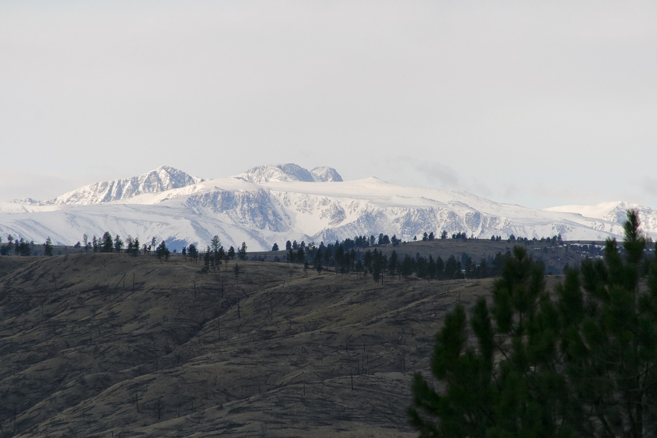 mountain snow nature free photo