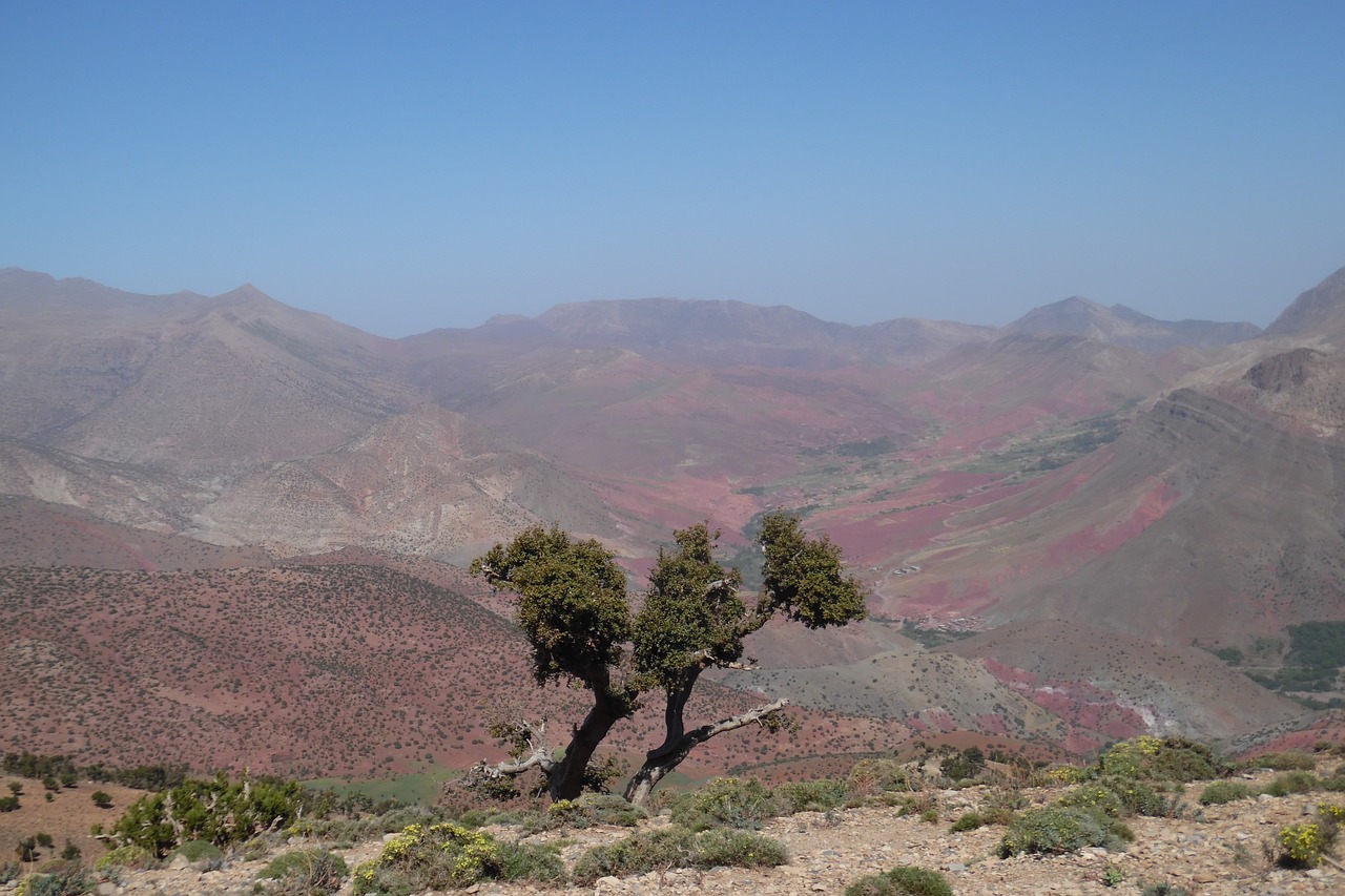 mountain  landscape  nature free photo