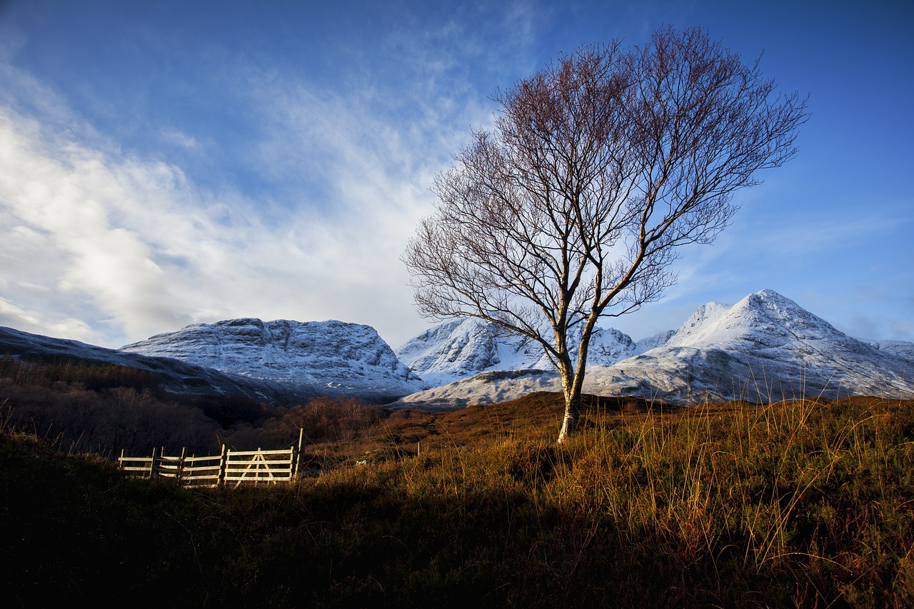 mountain  landscape  panoramic free photo