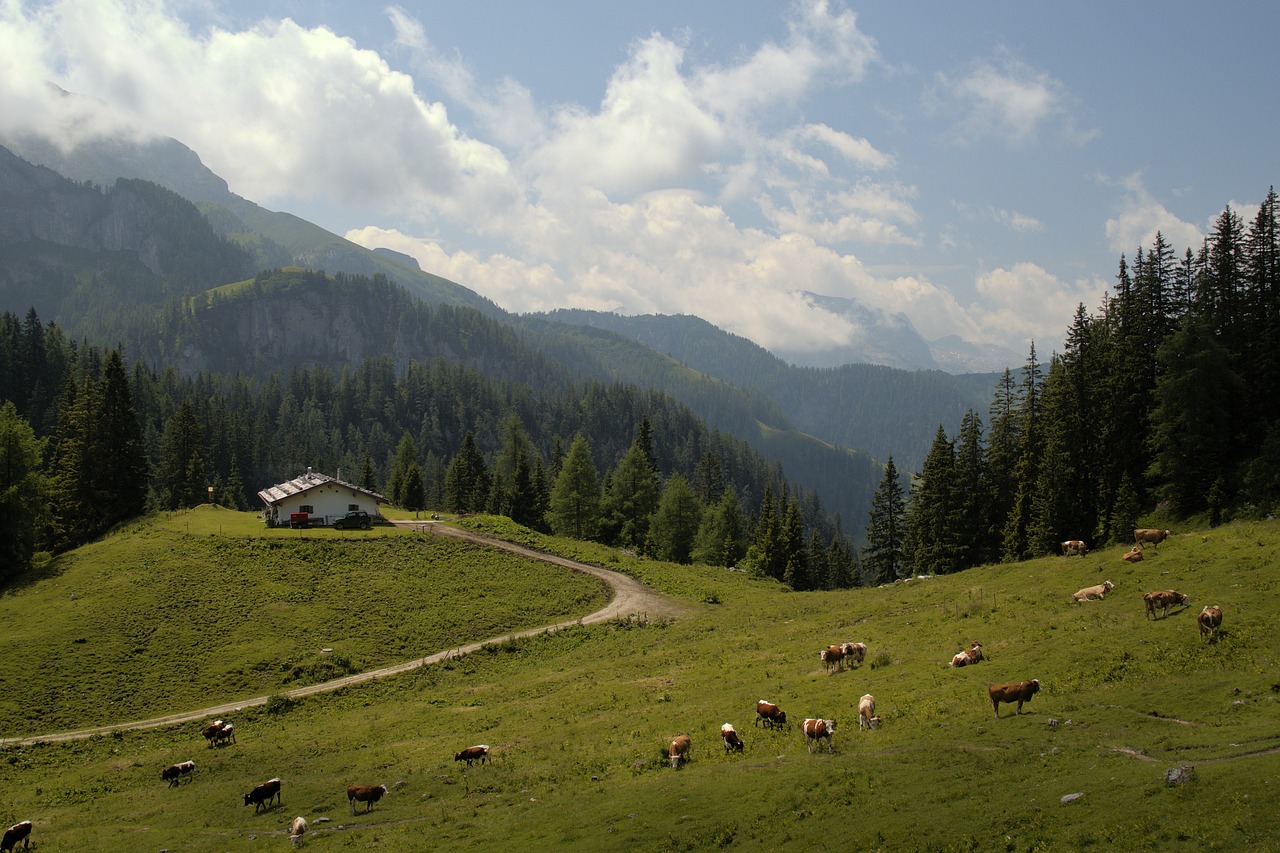 mountain  nature  panoramic free photo