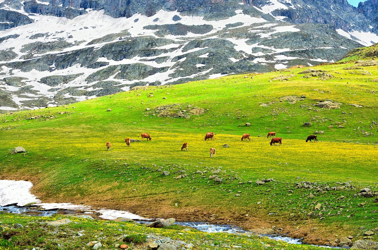 mountain  nature  panoramic free photo