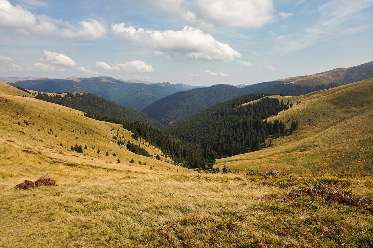 mountain  autumn  landscape free photo