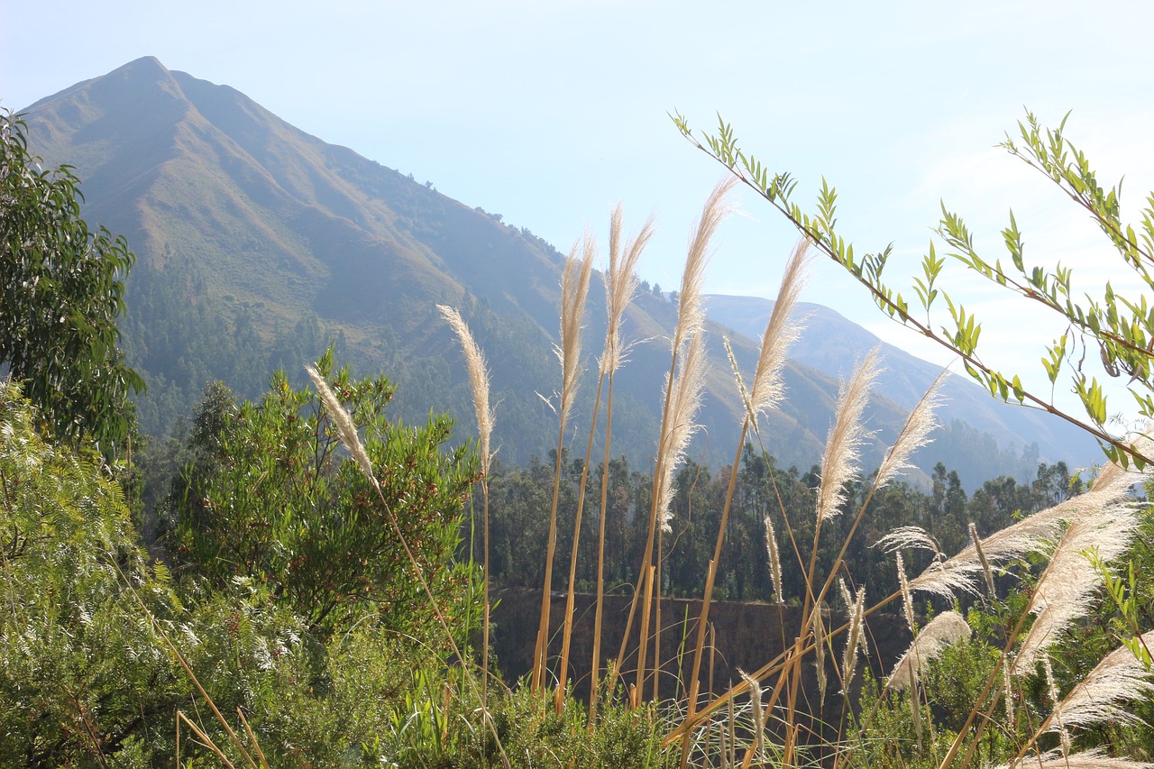 mountain  green  landscape free photo