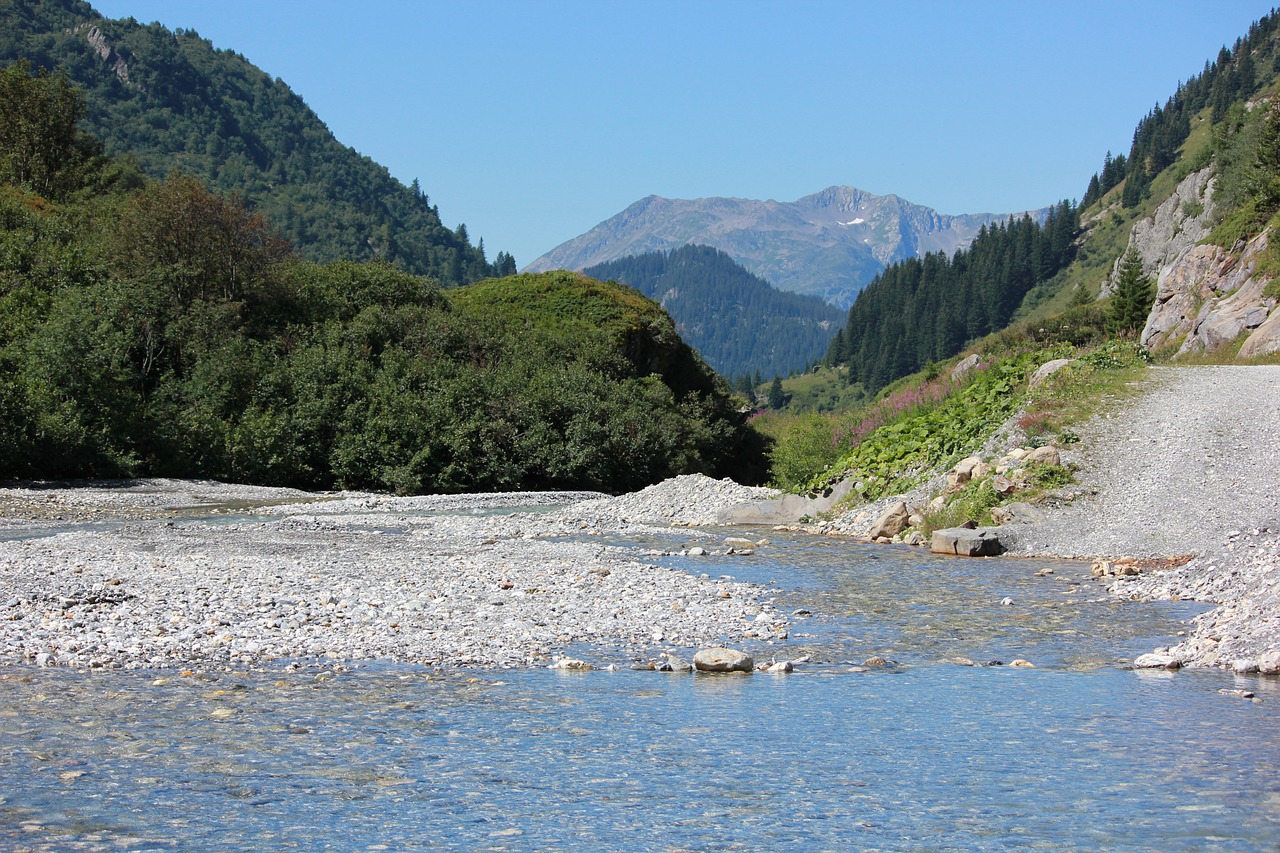 mountain  savoie  the edge of the lake of roseland free photo