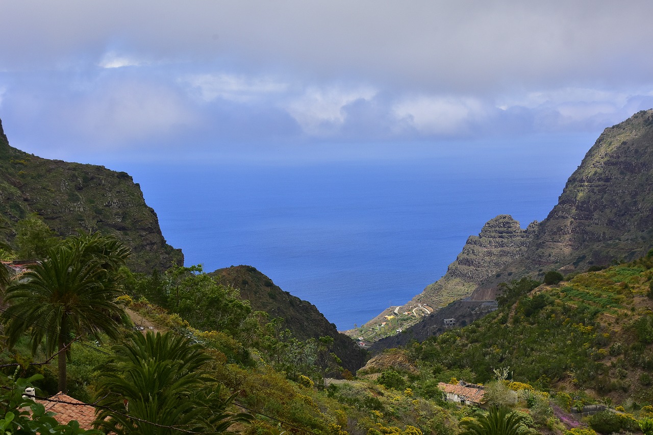 mountain  sea  landscape free photo