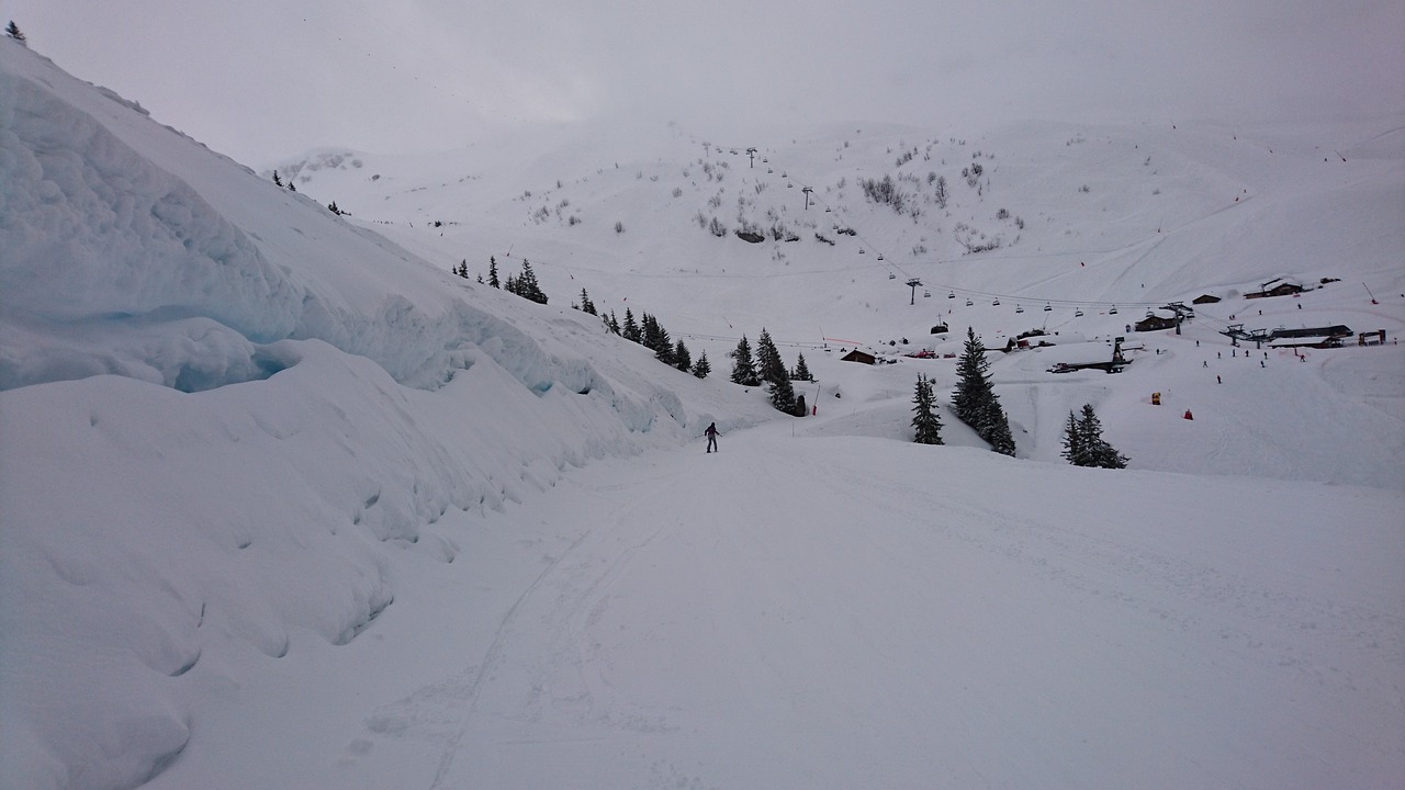 mountain  winter sport  ski free photo