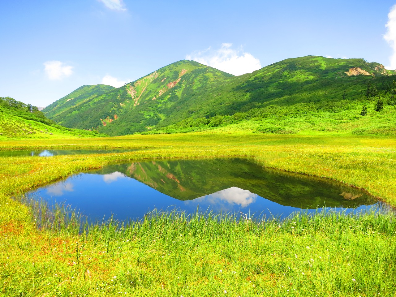 mountain  pond  moor free photo