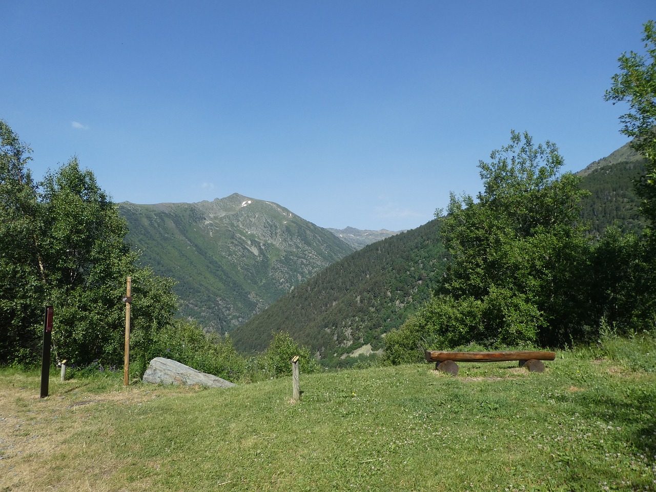 mountain  trees  andorra free photo