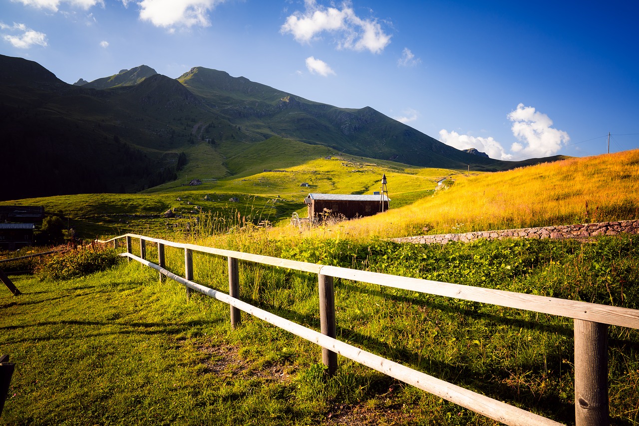 mountain  field  grass free photo