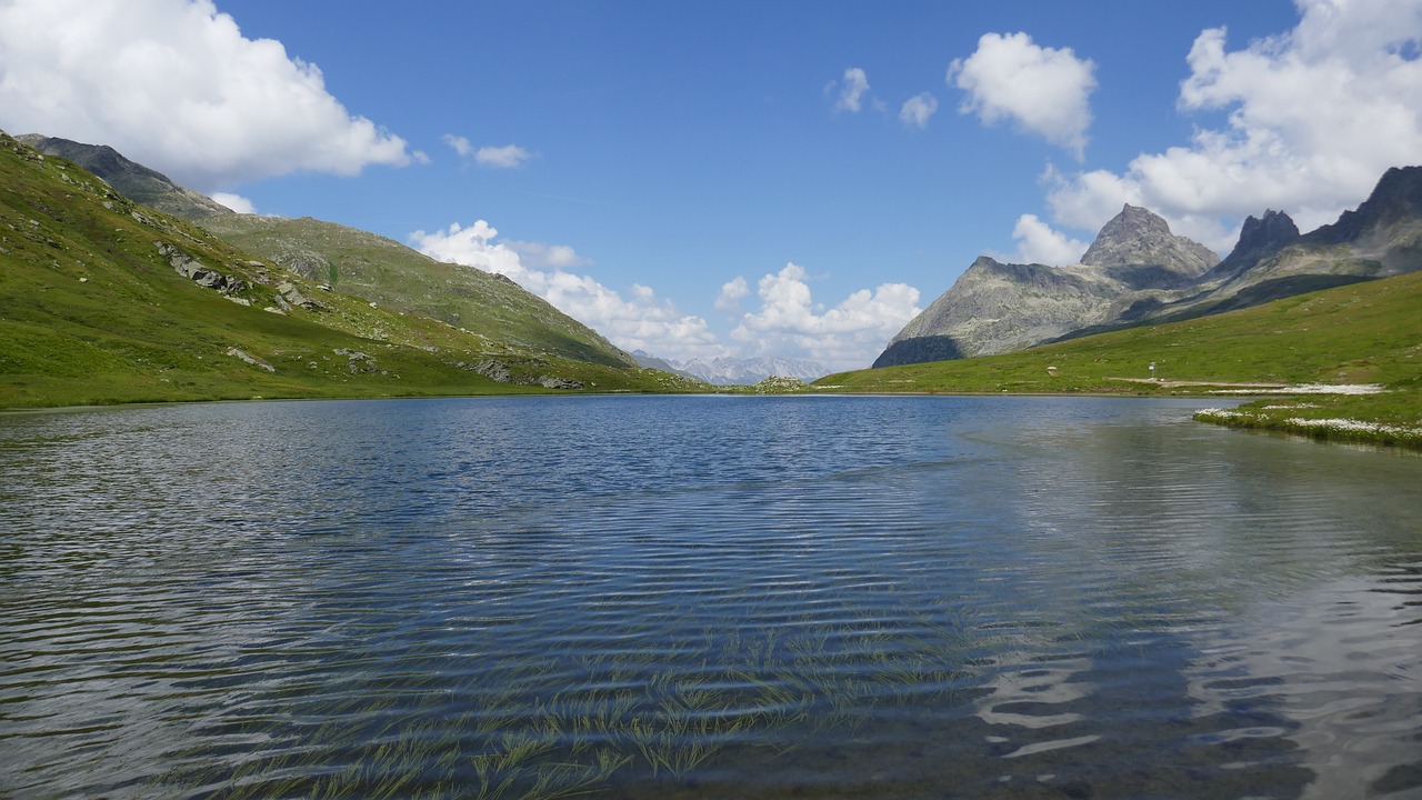 mountain  lake  meadow free photo