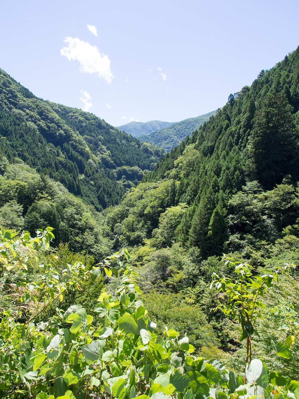 mountain  green  landscape free photo