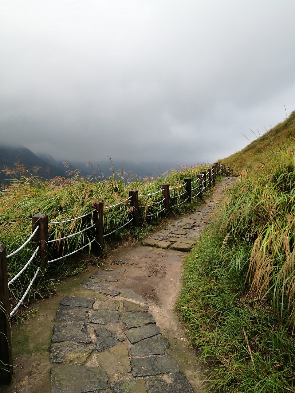 mountain  the scenery  cloud free photo