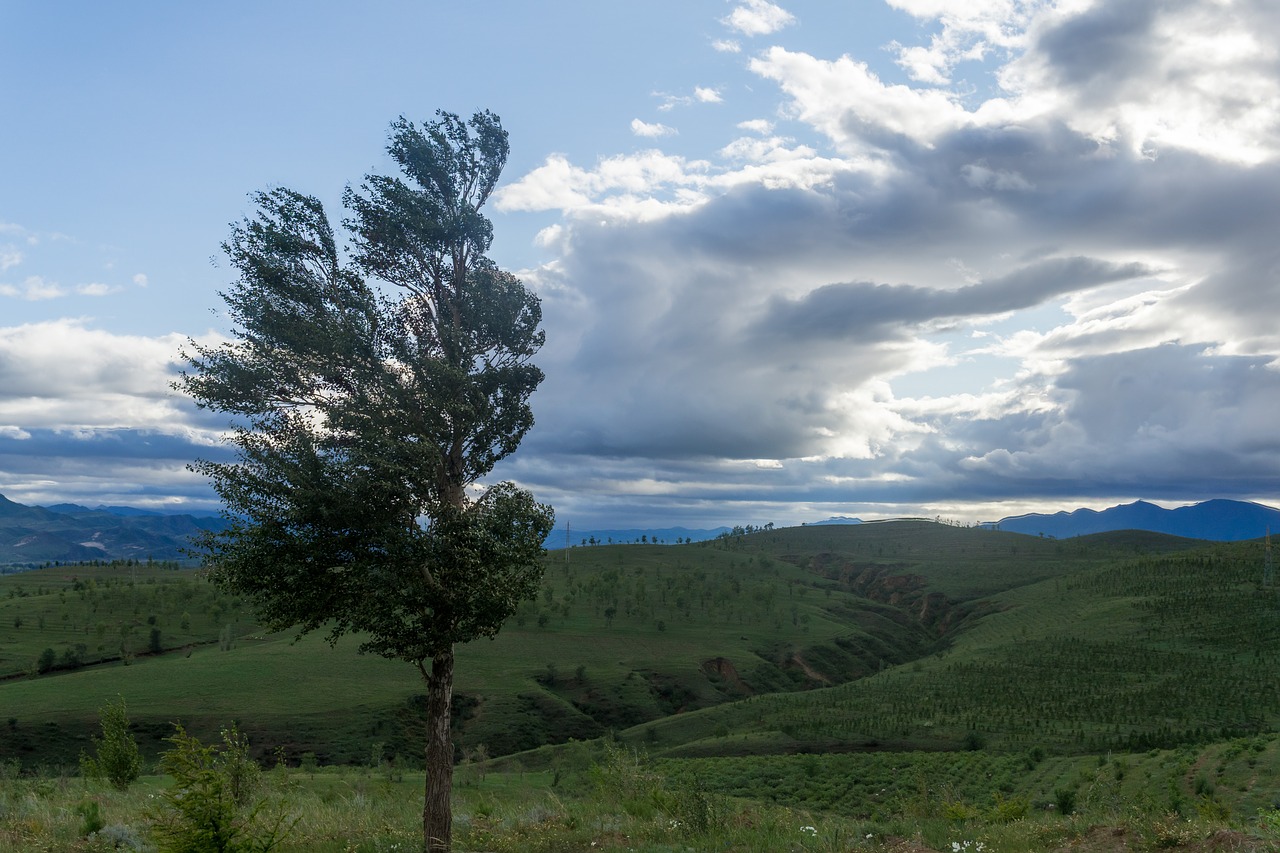 mountain  dark clouds  cloud free photo