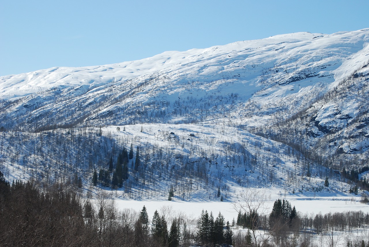 mountain winter snow free photo