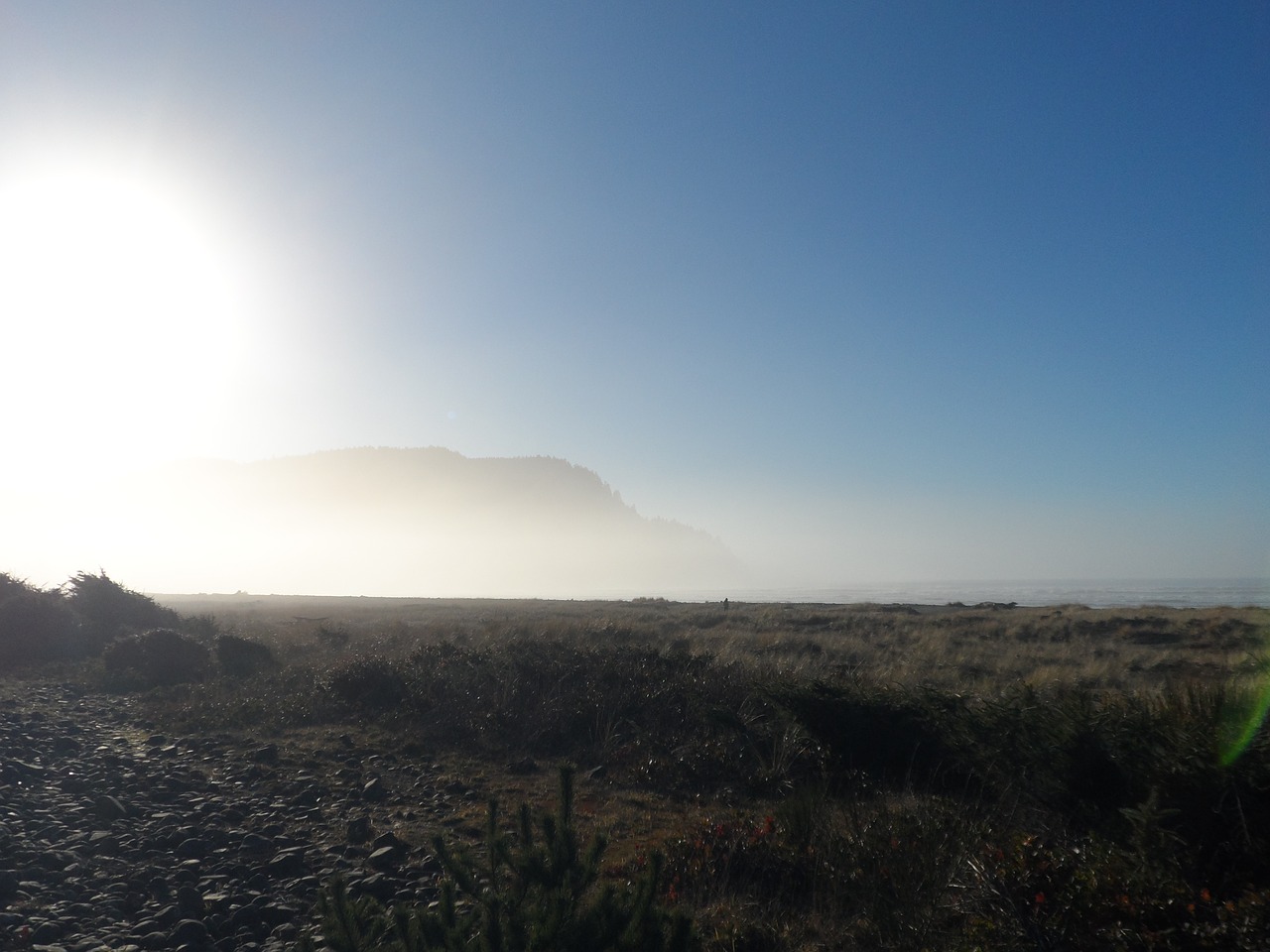 mountain mist sea grass free photo