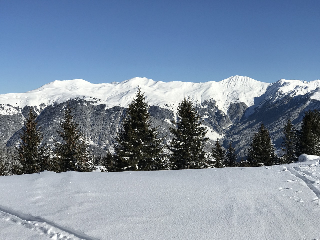 mountain  snow  alps free photo