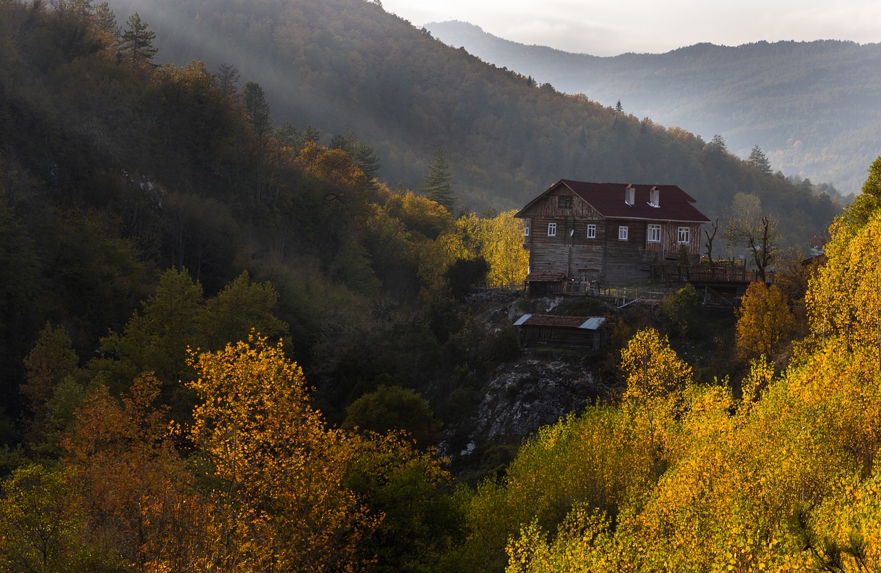 mountain  historic house  forest free photo