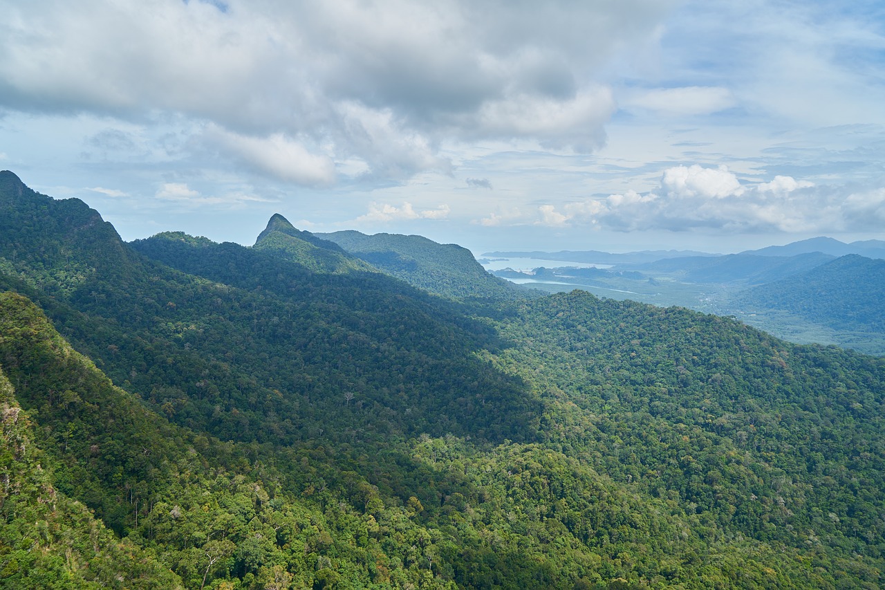 mountain  forest  clouds free photo