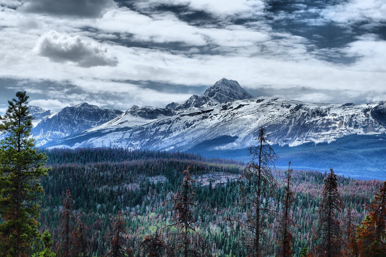 mountain  rockies  c free photo