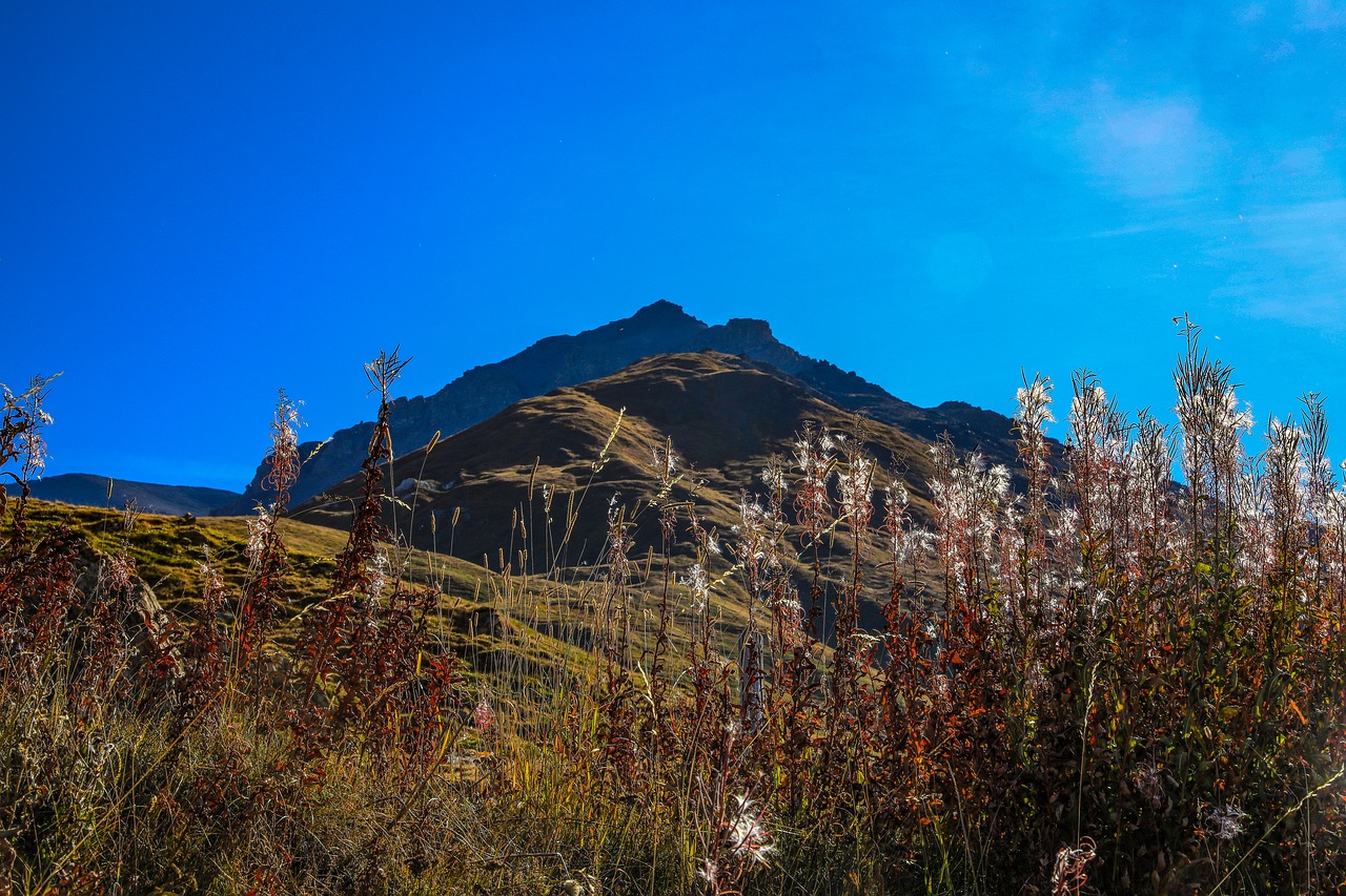 mountain  peak  landscape free photo