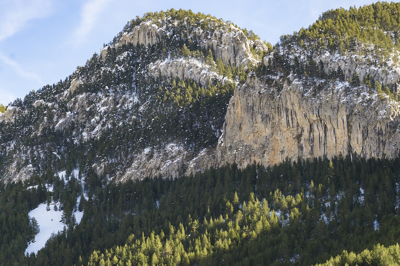 mountain  trees  nature free photo