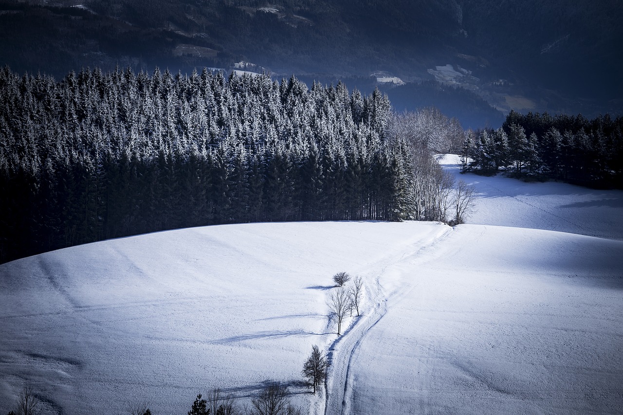 mountain  alps  france free photo