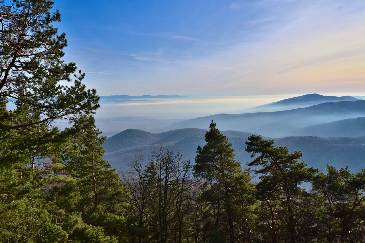 mountain  landscape  fog free photo