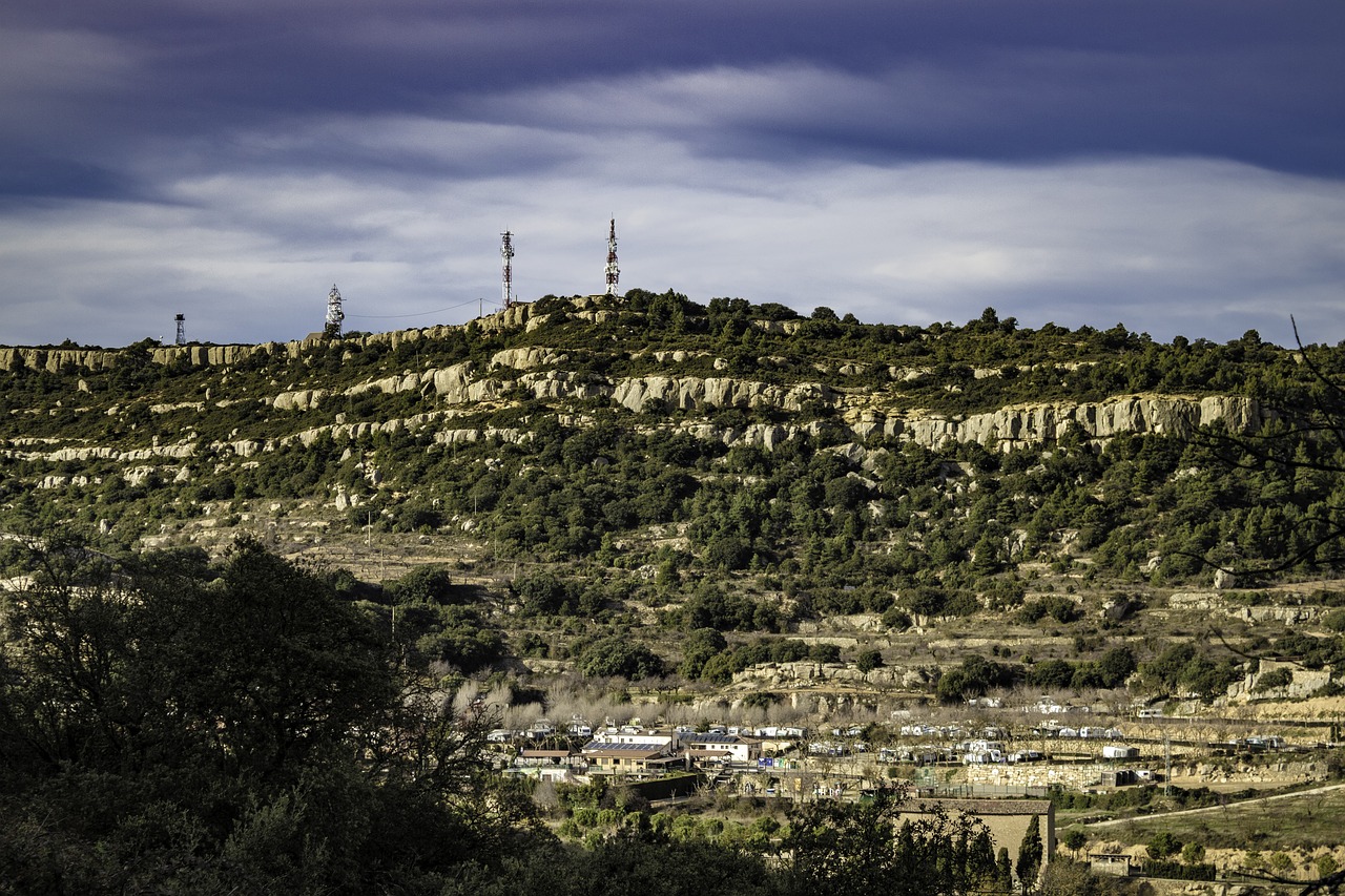 mountain  forest  landscape free photo