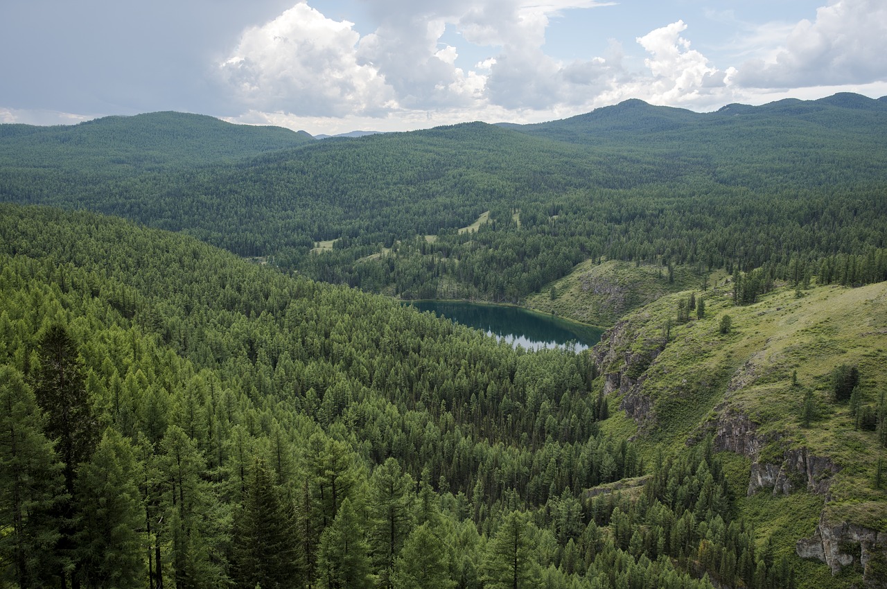 mountain  river  landscape free photo