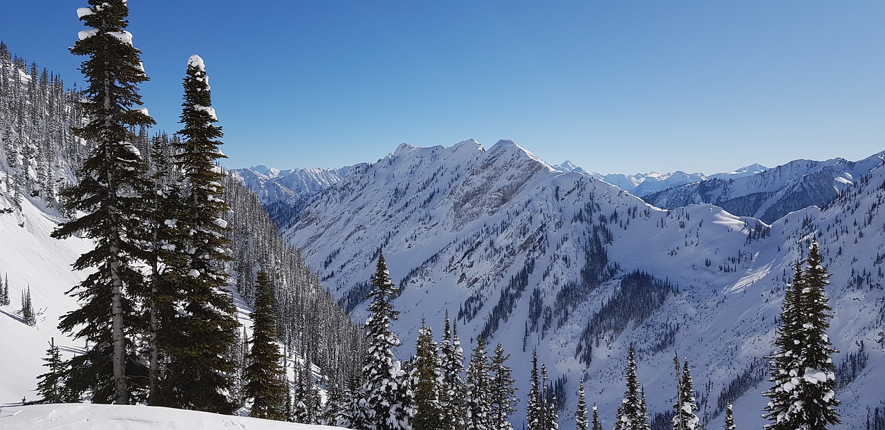 mountain  snow  blue sky free photo