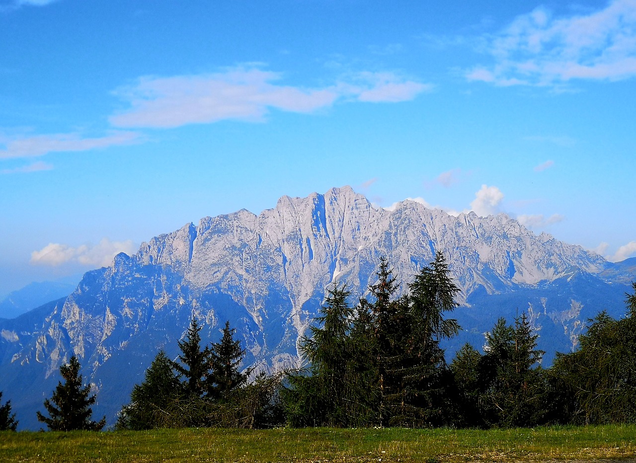 mountain  trees  summer free photo