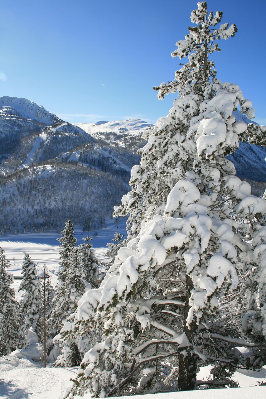 mountain  snow  winter free photo