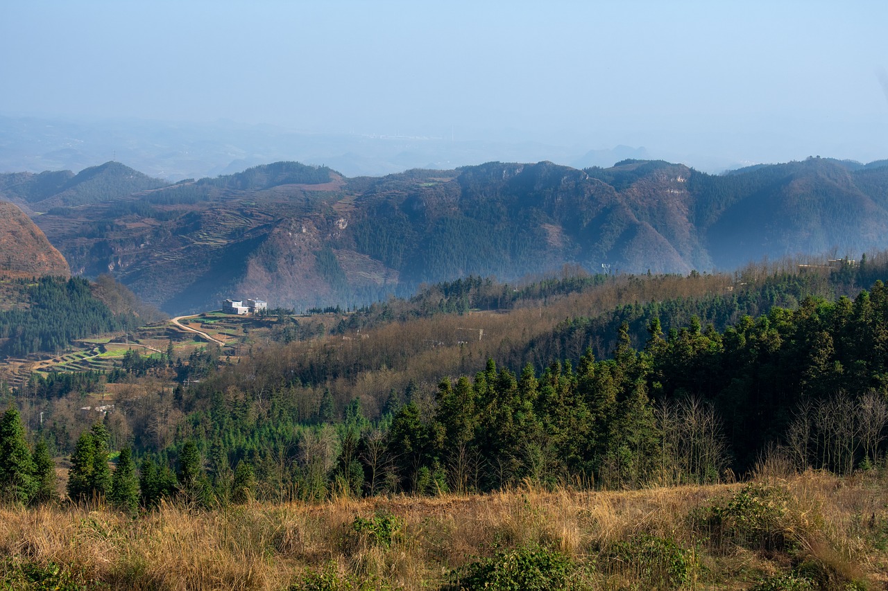 mountain  haze  tree free photo